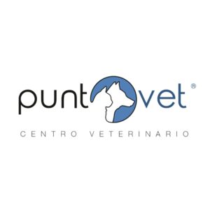 PuntoVet